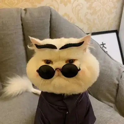  2023最新霸气猫咪情侣头像