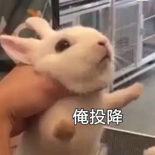 信息