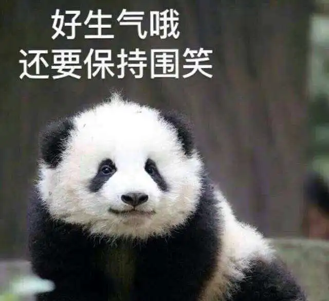  34岁张雨绮近照脸部僵硬鼻子怪,笑容像机器人颜值骤降