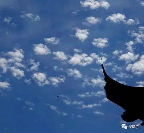  讲经弘恩法师讲建立正信七菩提心出诸善法