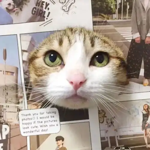  抖音超火的情侣头像,总有你喜欢的风格