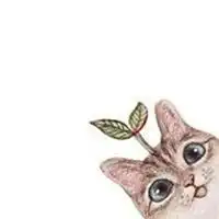  动物的情侣头像,要卡通的