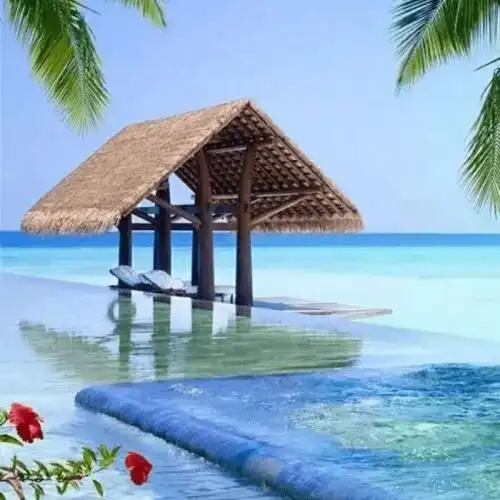  初级语法丨超好听五月天的oaoa日文版,现在就是永远