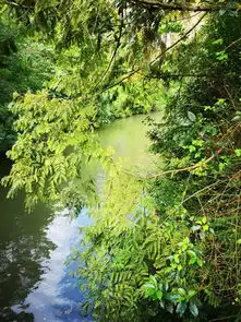  上海2天1晚东平国家森林公园景区内房车双早免东平国家森林公园门票2张小电瓶车接送各1次崇明大米1份文具礼盒套装3选