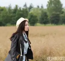  陆贞赵丽颖一夜爆红与杨幂唐嫣pk收视女王