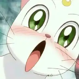  告白气球周杰伦男女学生现场版舞蹈