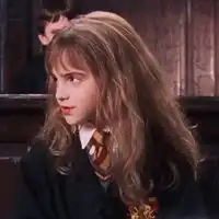  赫敏情侣头像哈利赫敏情侣头像一左一右