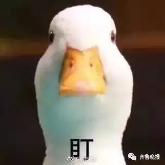  司机注意违章消分规则调整,明起执行