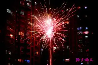  新春大吉,发一组除夕焰火,祝新手论坛龙年红红火火