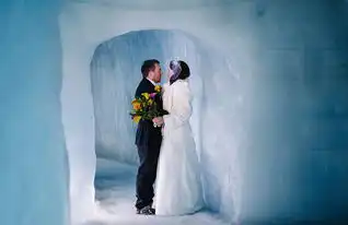  敢冻英国夫妇地下40米冰川中举行浪漫婚礼