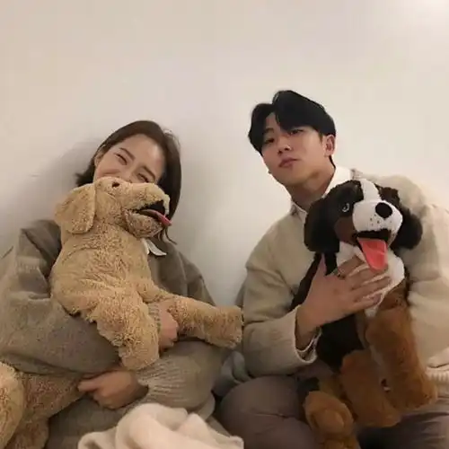  宠物狗面具图片