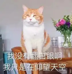  小雨中雨太原人的中秋假期要泡汤了