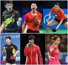  嘛玩艺对喽天津全运会大全在此