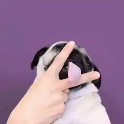  老子最可爱视频直播全集老子最可爱资料大全yy官方