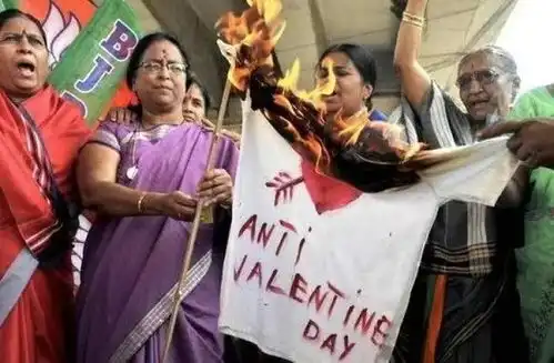  世间奇情人节不许抱人,只许抱牛