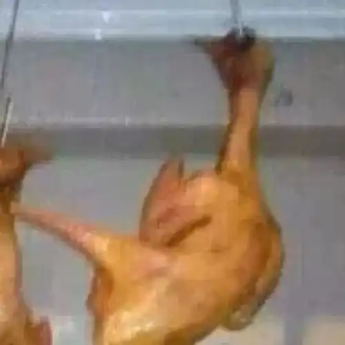  沙雕情侣名,够沙雕,我喜欢