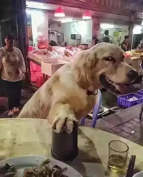 甜出天际的情侣头像