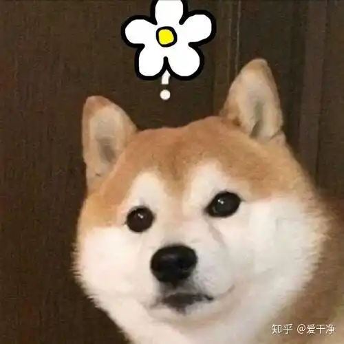 我喜欢你时,清白且勇敢