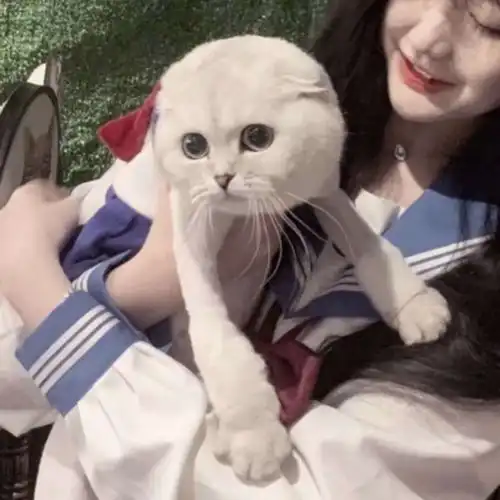  一遥真人情侣头像对象不是人系列持续更新