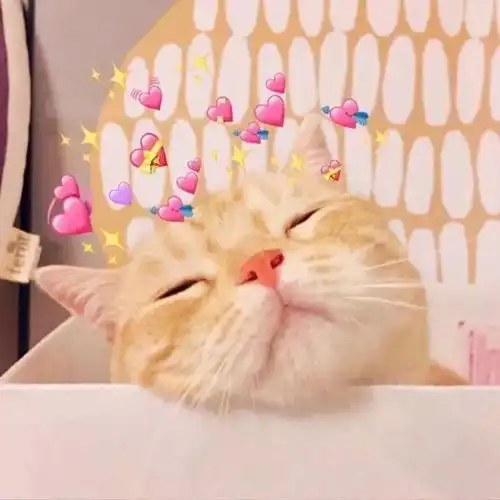  情侣头像你是我跑完八百米还想拥抱的人