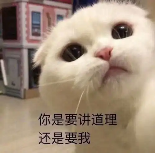  萌宠表情包干饭王了解一下