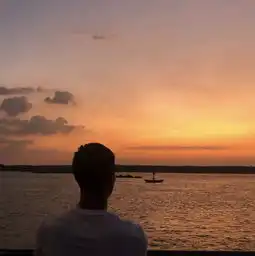  情侣头像丨你去买只猫吧你抱着猫我抱着你