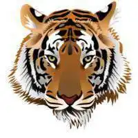  下载微信头像动物老虎图片大全可爱