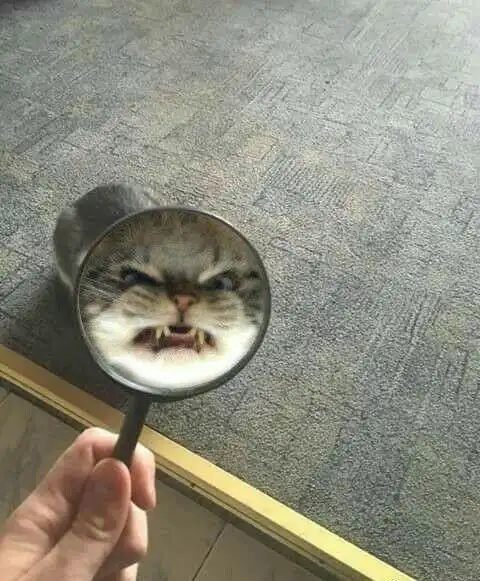  有哪些沙雕搞笑的头像