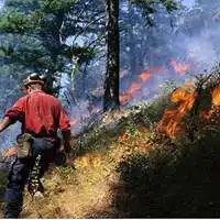  中国森林消防图片头像微信头像图片大全