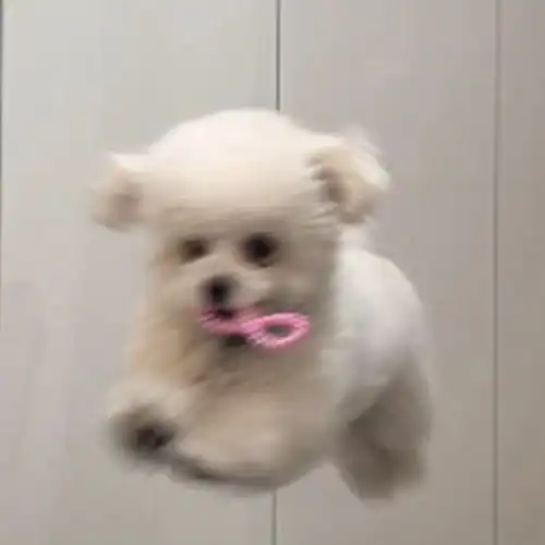  分享自己存的一些头像持更