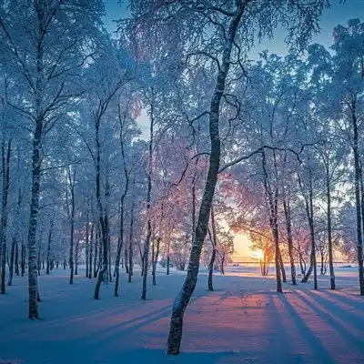  唯美雪景头像,美丽的冬季风光雪景做头像真是不错的