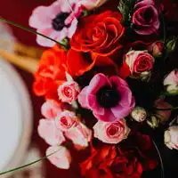  清新花束头像,浪漫的情人节花束图片