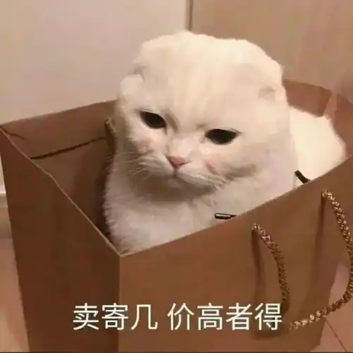 表情包第60弹重复很正常