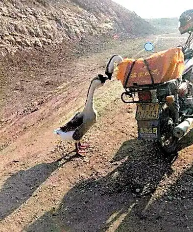  与君吻离别自此各天涯