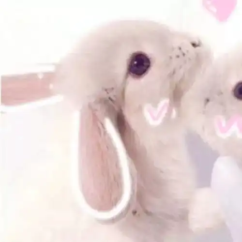  情侣头像,在他心里你永远是最美的