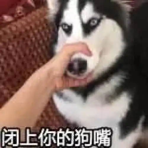  愚人节被整蛊,用这些聊天套路赢回来