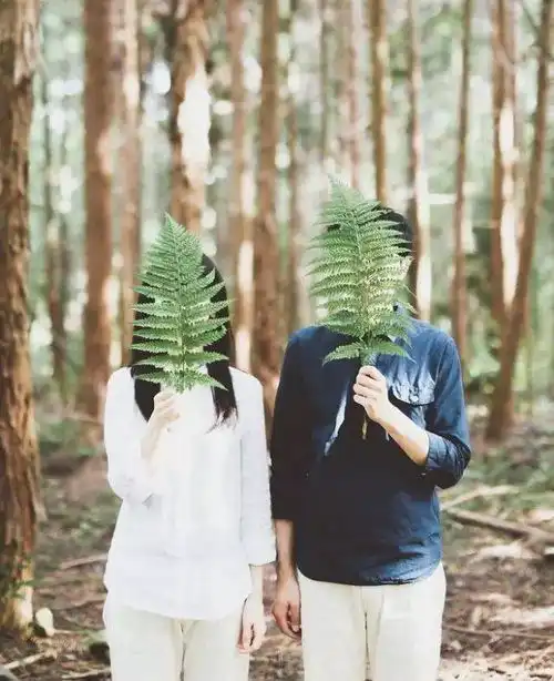  我说过的三个谎话,我以后再也不吃辣了,再也不熬夜了,和再也不喜欢你了搜狐文化搜狐网