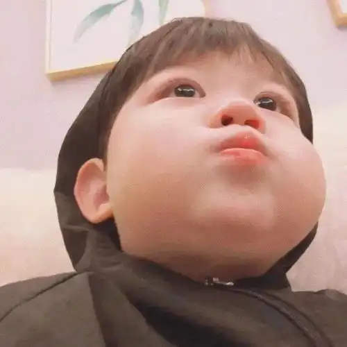  头像阿拉斯加海湾