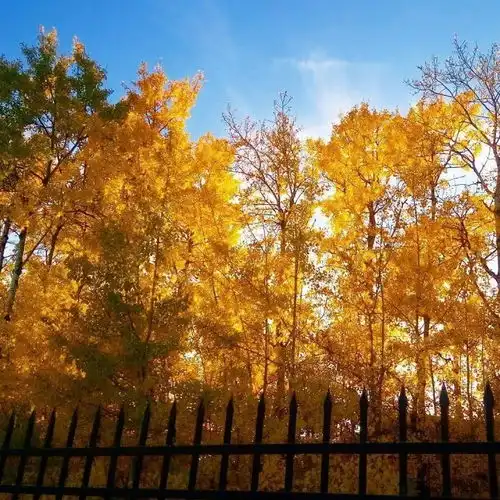  狂风暴雪预警今明卡城将有大雪围城降雪将超过10cm狂风可能高达90kmh