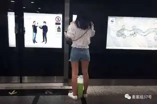 暗战地铁色狼