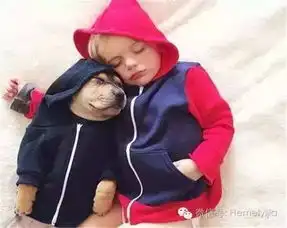  世上最性感的情侣床上姿势