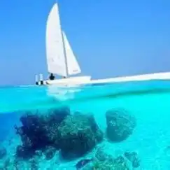  肖战拒绝黑子庭下和解,真棒都是成年人,请为自己负责