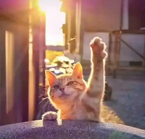  有什么笑话可以笑死人