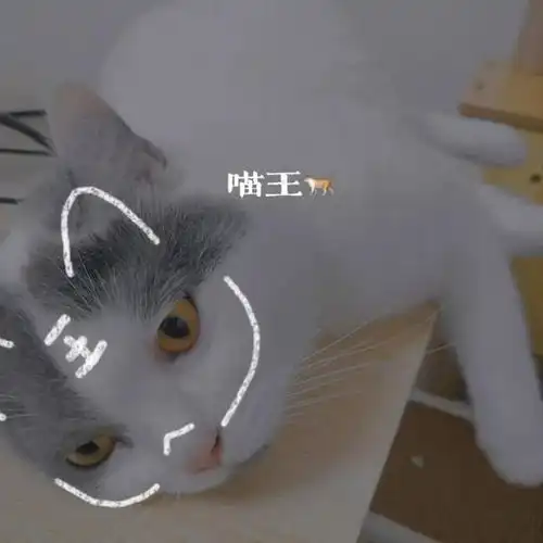  和老公搞了个电竞情侣房,完成长久以来的梦想,打完游戏就睡觉