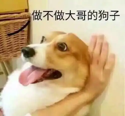  天津相声广播考教师资格证还得生个孩子啊