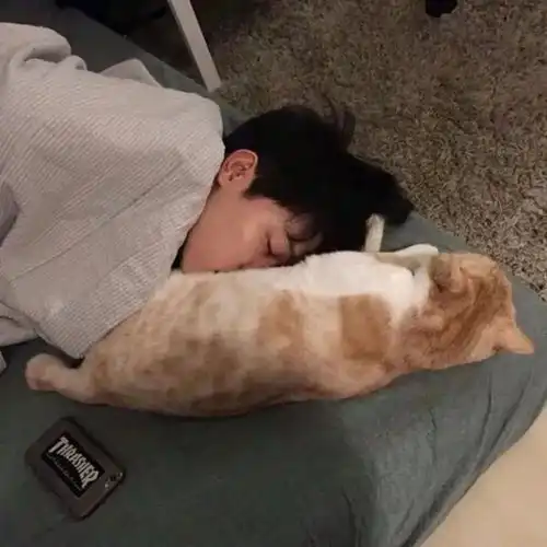  抱着猫猫的男生头像