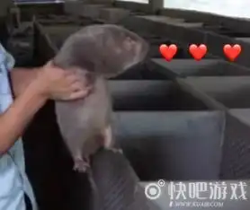  漂亮警告是什么梗漂亮警告是什么意思快吧手游