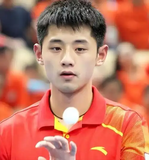  樊振东男单大赛20个冠军,张继科8个,王楚钦和马龙呢很意外
