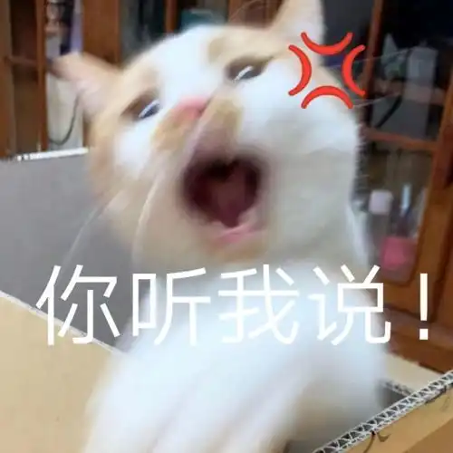  头像表情包丨小猫咪能有什么坏心思呢