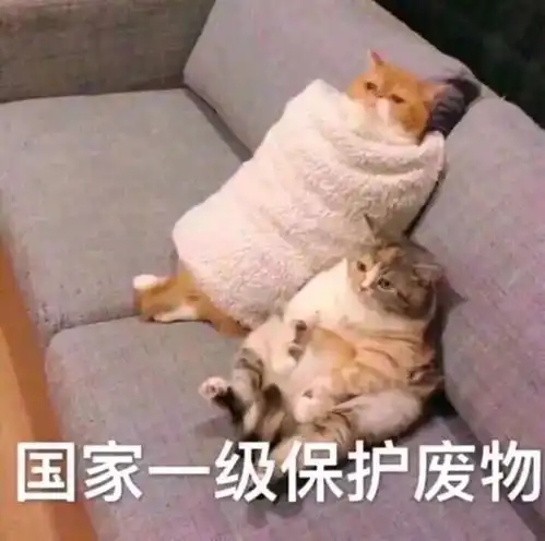  到处缺货的酒精消毒液,我们这里有